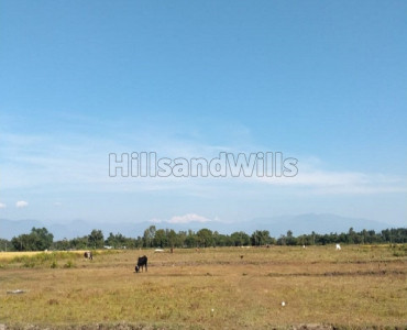 1 bigha agriculture land for sale in naxalbari siliguri