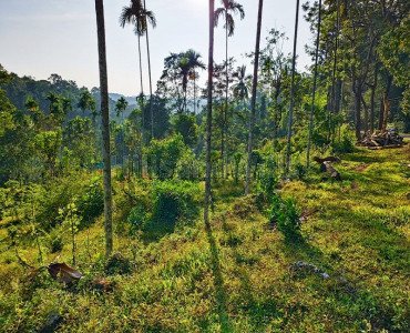 110.5 cents residential plot for sale  in bathery wayanad