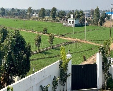 21000 sq.ft. agriculture land for sale  in kaladhungi nainital