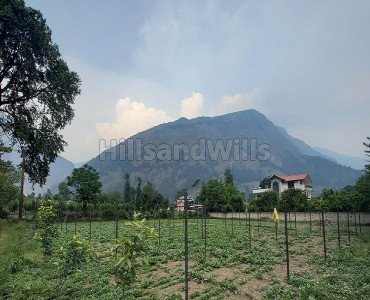 27 biswa agriculture land for sale  in bhuntar kullu-manali