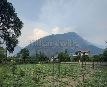 27 biswa agriculture land for sale in bhuntar kullu-manali