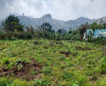 80 cents residential plot for sale in kurinji nagar kodaikanal