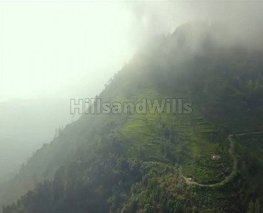 12.5 acres agriculture land for sale in bettati kotagiri