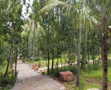 1bhk farm house for sale in courtallam