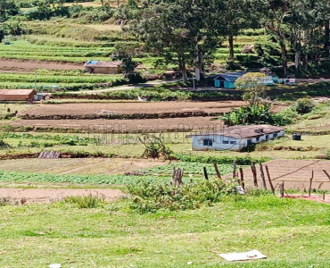 21 cents Agriculture Land For Sale in Kodaikanal