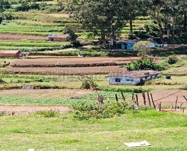 21 cents agriculture land for sale in kodaikanal