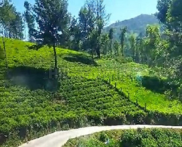 25 cents residential plot for sale in between ooty and kotagiri