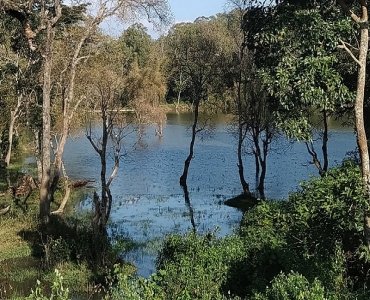 1 acres agriculture land for sale  near mysore 