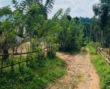 24 cents residential plot for sale  in meenangadi punchayat wayanad
