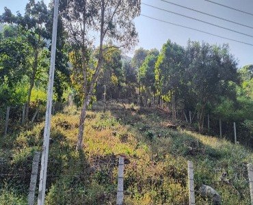25 cents  gated community plot for sale  in nagalur yercaud