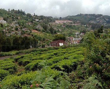 10000 sq.ft. residential plot for sale  in wellington barracks coonoor
