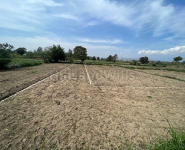 100 sq.yards residential plot for sale in bullawala dehradun