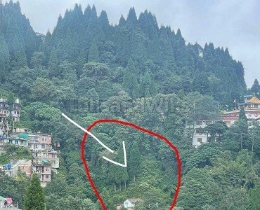 7000 sq.ft. residential plot for sale  in ghoom darjeeling