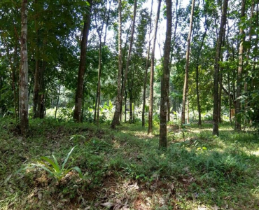  for sale  in koduveli idukki