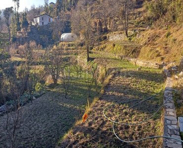 6.2 nali residential plot for sale  in darima mukteshwar nainital