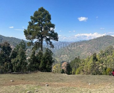 1 nali commercial land  for sale in mukteshwar nainital