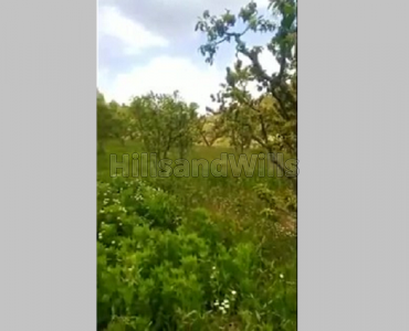 11.11 nali residential plot for sale  in mukteshwar nainital