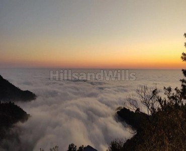 3302 sq.meter commerical land for sale  in kasauli hills near solan