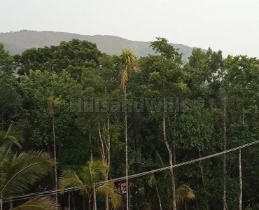 1.25 acres residential plot for sale in mananthavady wayanad