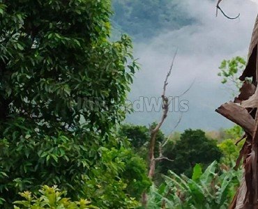 1.3 acres agriculture land for sale  in vadagounji kodaikanal
