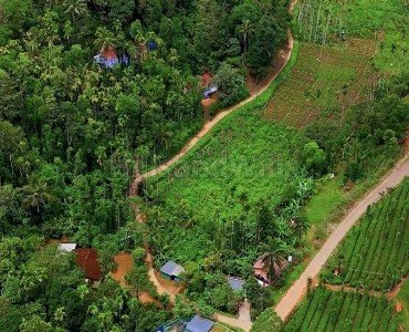 85 cents residential plot for sale  in manthavady wayanad