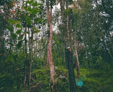 1.5 acres agriculture land for sale  in chelachuvadu idukki