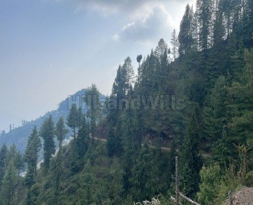 8 bigha residential plot for sale  in theog shimla