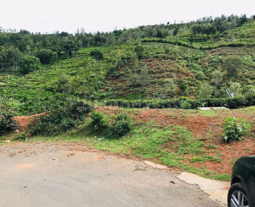 34 cents agriculture land for sale in kodangatty coonoor