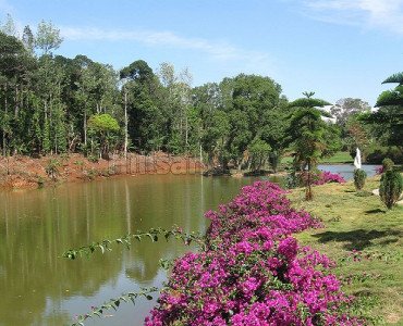 2.01 acres agriculture land for sale  in alathur nadu kolli hills