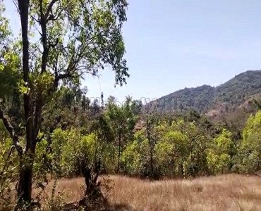 2 acres agriculture land for sale in birmani mahabaleshwar