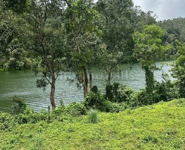 72 cents agriculture land for sale  in padinjrathara wayanad