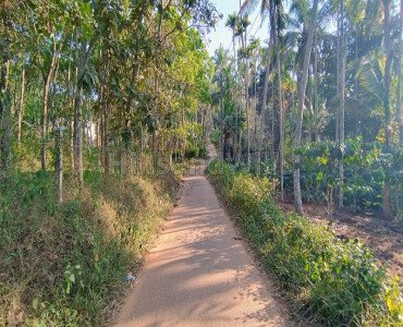 25 cents commercial land  for sale in pulpally wayanad