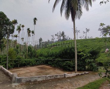 2 acres residential plot for sale  in meppadi wayanad