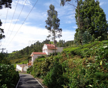 4bhk independent house for sale in bettati coonoor