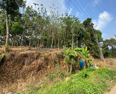 82 cents residential plot for sale in varayal wayanad
