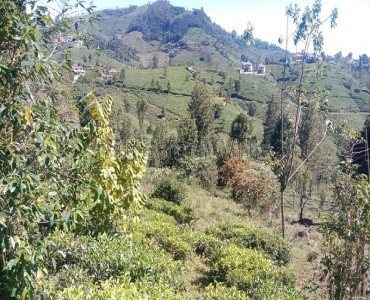 3.5 acres agriculture land for sale in selas coonoor