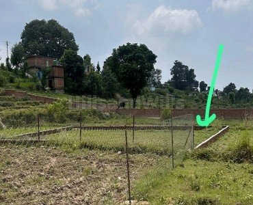 2000 sq.ft. residential plot for sale  in horawala dehradun
