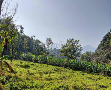 8 acres Agriculture Land For Sale in Kunhome Wayanad