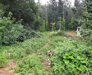 2.2 acres agriculture land for sale  in kolli hills