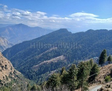 15 bigha  apple & cherry orchard for sale  in theog shimla
