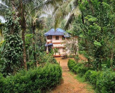 4 acres residential plot for sale in valat wayanad