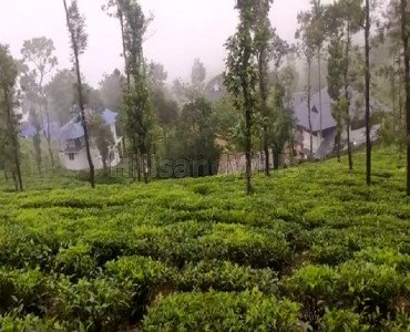 1 acres agriculture land for sale  in vagamon