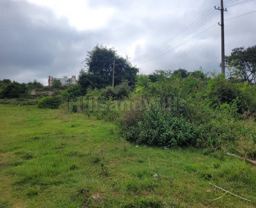 190 cents Agriculture Land For Sale in Attappady Kerala