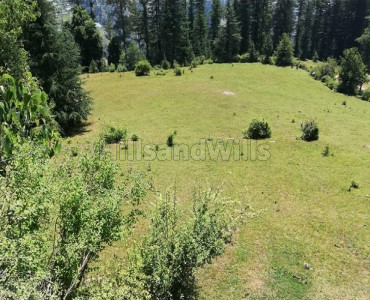 14 bigha Agriculture Land For Sale in between Kufri and Narkanda Shimla