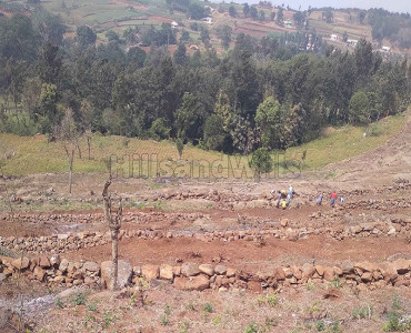 3 acres agriculture land for sale in perakkarai nadu kolli hills