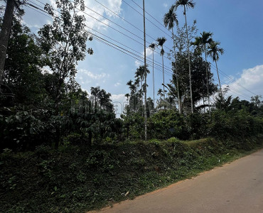 18 cents residential plot for sale in bathery wayanad