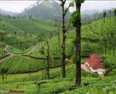 7 acres agriculture land for sale in pandalur gudalur