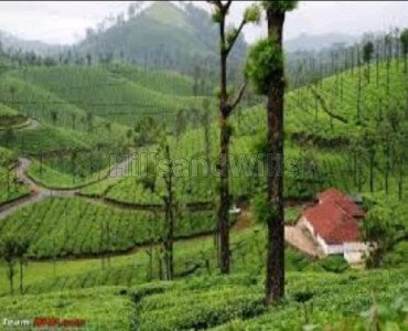 7 acres agriculture land for sale  in pandalur gudalur