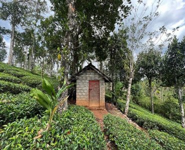 133 cents residential plot for sale  in vaduvanchal wayanad