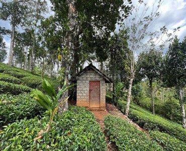 133 cents residential plot for sale in vaduvanchal wayanad